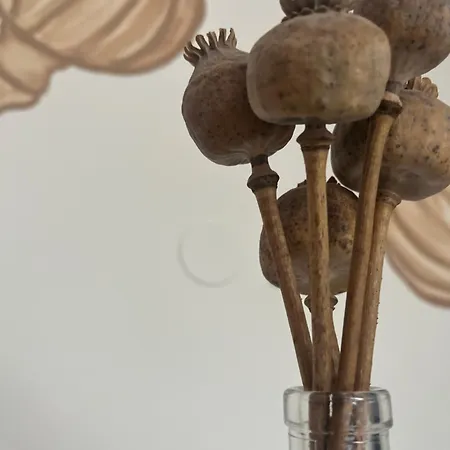 Pehn Bed and Breakfast