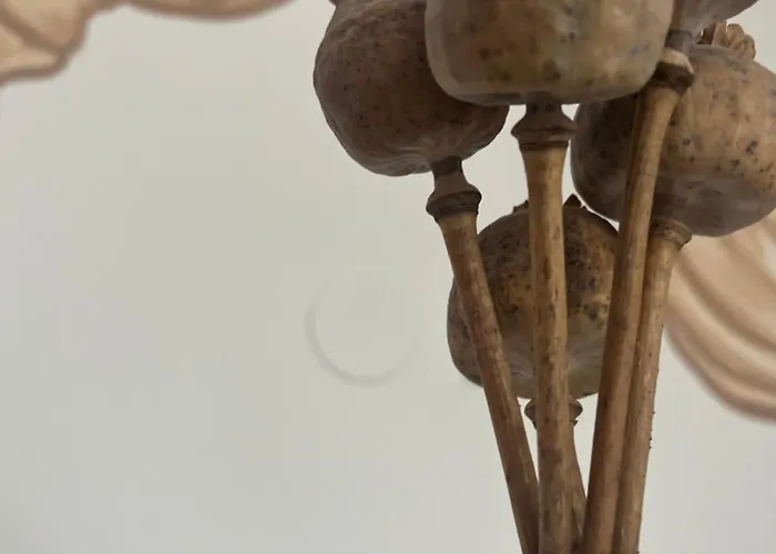 Pehn Bed & Breakfast